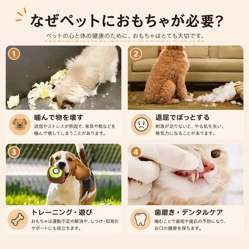 猫も犬も大興奮! パリパリ新聞おもちゃ【全国送料無料🚗】