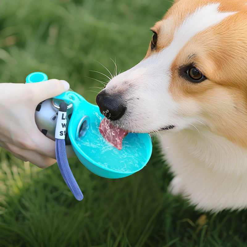 buddypup