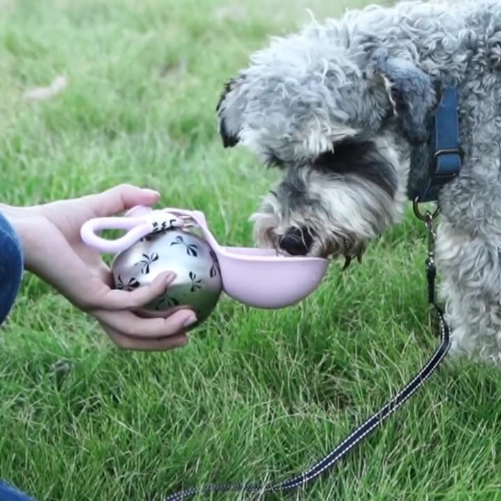 buddypup